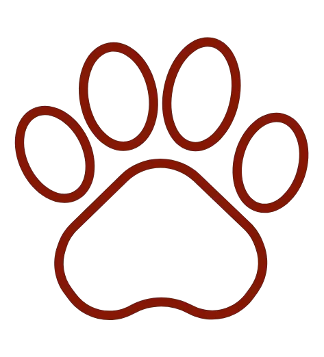 Cuidado para seus Gatos