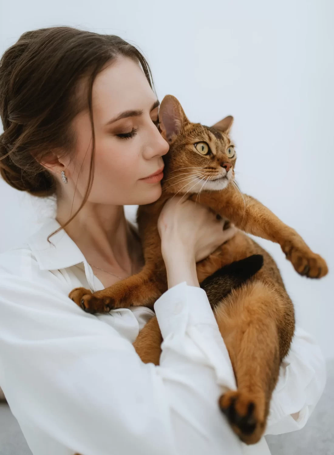 young-girl-in-a-white-room-playing-with-a-cat-2025-01-07-23-07-22-utc
